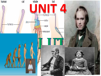 12 Unit 4 Evolution.pdf